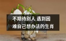 以自力更生为信仰,不依赖他人解决难题的“自我救赎型”生肖