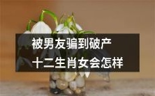 一位十二生肖女被男友骗到破产,她将采取哪些应对措施?
