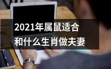 2021年是鼠年,如果属鼠的人想找到最适合自己做夫妻的人选,那么他们应该寻找哪些生肖?