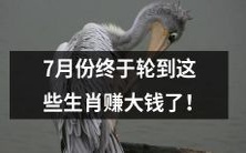 在七月,终于轮到这些十二生肖赚取不少财富的时候到来了!