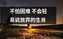 具有勇往直前精神,面对挑战不退缩,坚定不移,从不轻言放弃的生肖