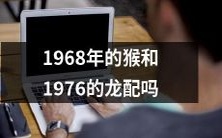 1968年的猴和1976年的龙是否具有相配性?