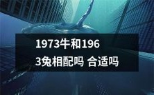 1973年出生的牛和1963年出生的兔是否适合在一起?