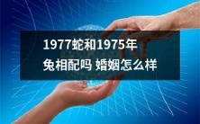 1977年的蛇和1975年的兔适合婚姻吗?他们的爱情道路是否注定充满挑战?