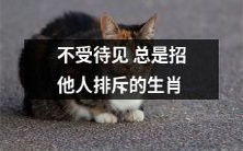 总是不被人待见并被排斥的生肖性格特征