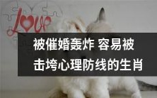 哪些生肖容易被催婚轰炸击垮心理防线?如何应对?