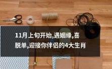 11月初遇良缘,喜结连理,迎来真爱伴侣的四款吉祥生肖