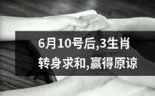在6月10日之后,三个特定生肖将转变态度向别人道歉,追求和解并赢得原谅