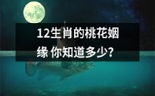 你了解几多关于12生肖在桃花运上的前缘后缘?