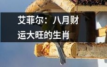 八月财运大旺!看看哪些生肖在艾菲尔眼中拥有最好的财运前景