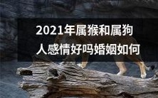 2021年属猴和属狗人的感情以及婚姻状况是如何的?