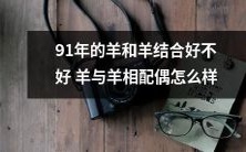 1991年出生的羊是否适合与同属羊的合为一体,探讨羊与羊之间的搭配是否具有适宜性?