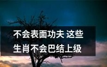 如何在职场脱颖而出?不要沉迷于表面功夫,这些生肖不会巴结上级的方法值得一试!