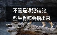 无论是谁犯错,这些与生俱来的十二生肖都没有主动躲避指出真相的勇气