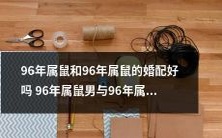 96年属鼠男女婚配是否适宜?探讨96年属鼠男女婚姻的可能性与挑战