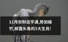 破解虎年财运:11月份三大生肖势头如破竹,财运亨通逐渐崭露头角!