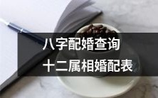 通过查询八字配婚,掌握十二生肖的完美婚配表,提高姻缘匹配度!
