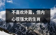 敢于承受压力,内敛而强大的生肖,虽不喜外露却无愧于信赖与尊重!