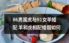 一个拥有86年龄属虎男性和91年龄属羊女性的婚姻大规模考察:羊和虎婚配的可行性如何?