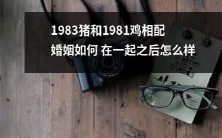 《1983年的猪和1981年的鸡结合在一起后的婚姻如何发展?》