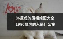 1986属虎命人的婚配指南:详细分析86年虎年出生人的命运,为属相相合的婚姻幸福而贡献力量!