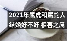 属虎和属蛇人在2021年结婚是否宜?双方相害之属是否会产生不良影响?