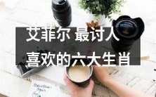 探索艾菲尔最为受欢迎的六大生肖的神奇之旅