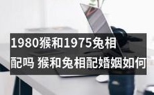 1980年的猴和1975年的兔是否适合搭配婚姻? 评估猴和兔之间的相配程度与关系稳定性