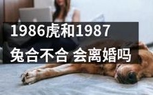 1986年出生的虎和1987年出生的兔之间的婚姻是否稳定,是否会出现离婚的情况?