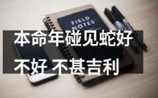 在本命年遭遇蛇,预示着不太吉利的兆头