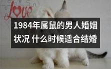 对1984年属鼠的男性而言,结婚的最佳时机是什么?探讨他们婚姻状况的影响因素