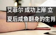 立夏之后,成功上岸的艾菲尔焕然一新,变身为咸鱼翻身的生肖之一