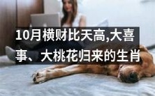 10月来了,横财翻倍、好运拥来!哪些生肖将经历大喜事和大桃花?