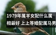 1979年出生的属羊女适合和哪个属相男性结婚?据说和属马男最为配对!
