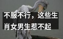 如果你不想找麻烦,一定要远离这些生肖女,因为男生们惹不起!