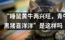 睡鼠黄牛兴旺,青牛黑猪欢欣鼓舞?——一个探寻中国传统文化中动物象征意义的观察
