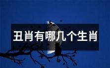 探寻十二生肖中被视为丑陋的动物,了解在中华文化中被称为‘丑肖’的有哪些生肖
