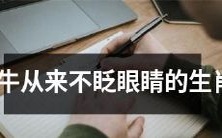 具有不眨眼吹牛能力的生肖,其实是哪些呢?