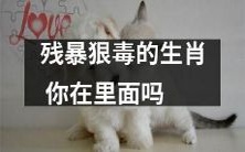 你是否身处残暴狠毒的生肖之中?