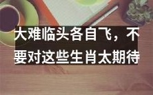 在面对困境时,不要对各个生肖期望过高,因为他们可能会选择各自出路逃离现状