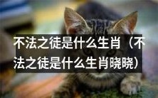 用什么生肖来形容不法之徒