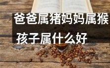 根据父母属相,推断孩子属相:如果父亲属猪,母亲属猴,那么孩子应该属什么好?