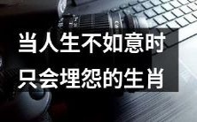 那些在人生不如意时只会埋怨的生肖人们