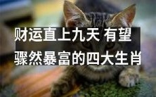 预测2022年:财源滚滚,四大生肖机遇多多,有望大展宏图,提升财运,成就人生豪华盛宴!