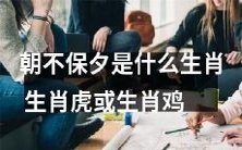 生肖鸡和生肖虎:哪个生肖被称为“朝不保夕”的可能性更大?