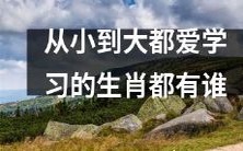 哪些属相的人都有学习天赋并热爱学习?