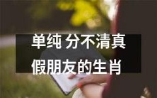 无法辨别真假朋友的纯真生肖们
