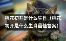 想知道桃花初开是哪个生肖吗?这是目前最佳答案!