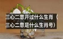 哪些生肖号码属于三心二意?