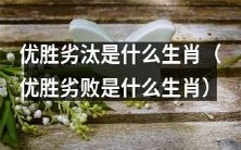 哪些生肖会在优胜劣败中脱颖而出?
